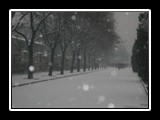 Beijing Street