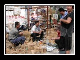 Bird Cage Market