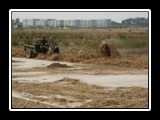 Farmers