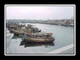 The Fleet