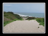 Sand Dunes and Beach
