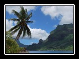Cook's Bay