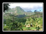 Moorea