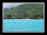Pretty Water