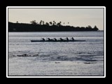 Rowers