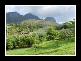 Varied Landscape