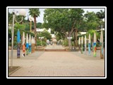 Coconut_Square_2