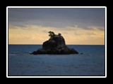 Lonely_Rock