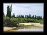 Low_Tide