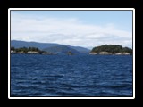 Lake Manapouri