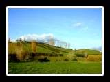 North Island Farmland