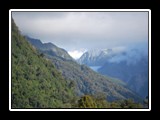 Franz Josef Glacier