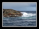 Tasman Sea