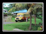 Local Transportation