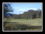 Grazed Field