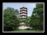 Chinese Pagoda
