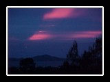 Pink Streaks