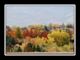 Reno NV